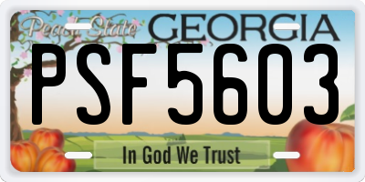 GA license plate PSF5603