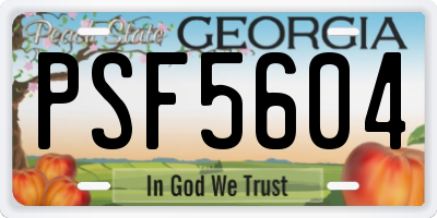 GA license plate PSF5604