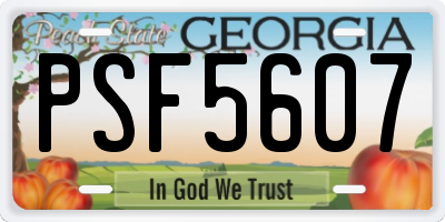 GA license plate PSF5607