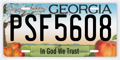 GA license plate PSF5608