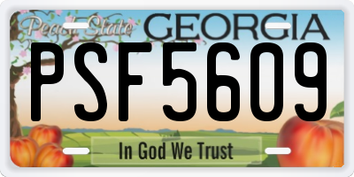 GA license plate PSF5609