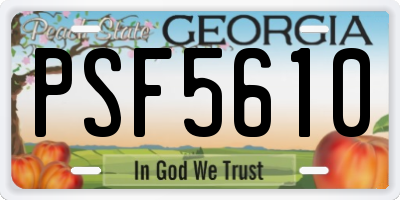 GA license plate PSF5610