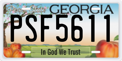 GA license plate PSF5611