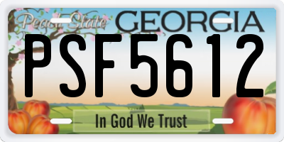 GA license plate PSF5612