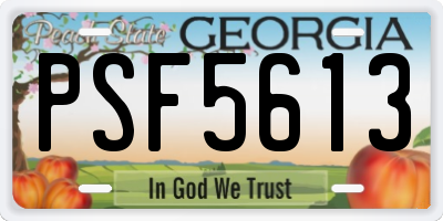 GA license plate PSF5613