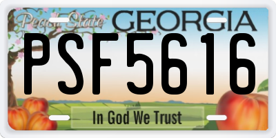 GA license plate PSF5616