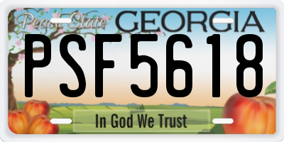 GA license plate PSF5618