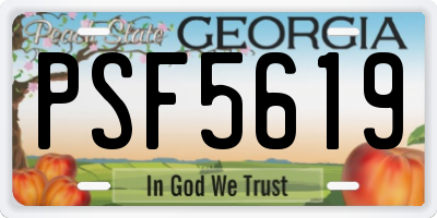 GA license plate PSF5619