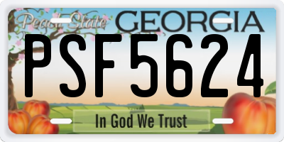 GA license plate PSF5624
