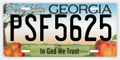 GA license plate PSF5625