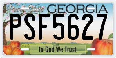 GA license plate PSF5627