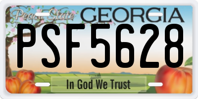 GA license plate PSF5628