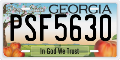 GA license plate PSF5630