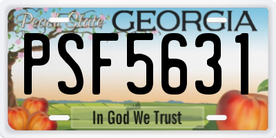 GA license plate PSF5631