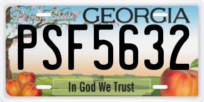 GA license plate PSF5632