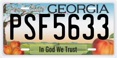 GA license plate PSF5633