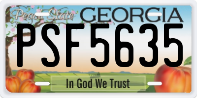 GA license plate PSF5635