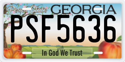 GA license plate PSF5636