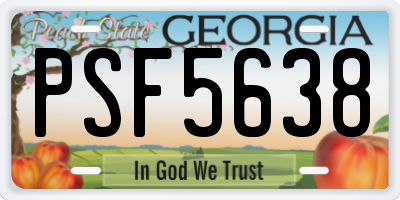 GA license plate PSF5638
