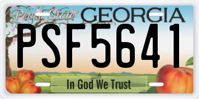 GA license plate PSF5641