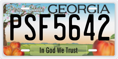 GA license plate PSF5642