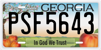 GA license plate PSF5643