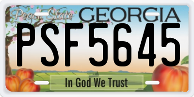 GA license plate PSF5645