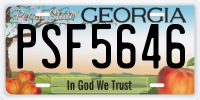 GA license plate PSF5646