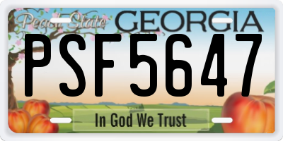 GA license plate PSF5647