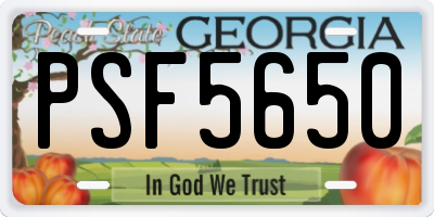 GA license plate PSF5650