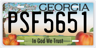 GA license plate PSF5651