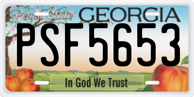 GA license plate PSF5653