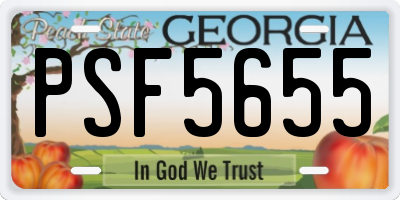 GA license plate PSF5655
