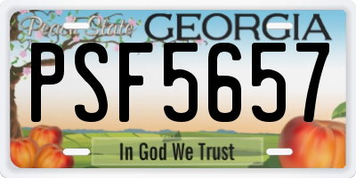 GA license plate PSF5657