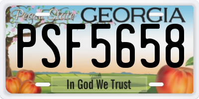 GA license plate PSF5658