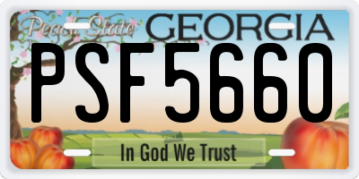 GA license plate PSF5660