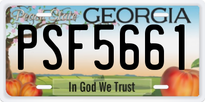 GA license plate PSF5661