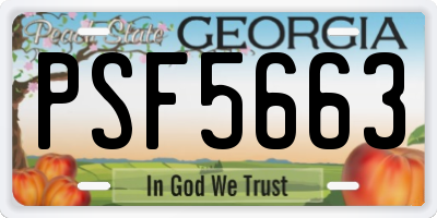 GA license plate PSF5663