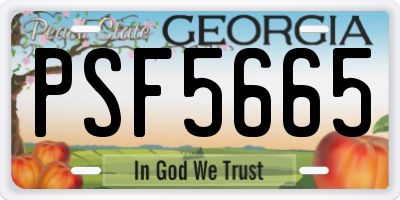GA license plate PSF5665