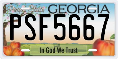GA license plate PSF5667