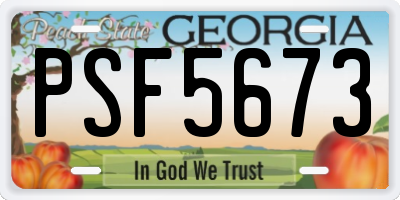 GA license plate PSF5673