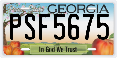 GA license plate PSF5675