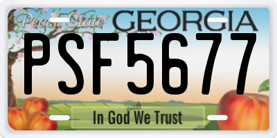 GA license plate PSF5677
