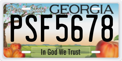 GA license plate PSF5678