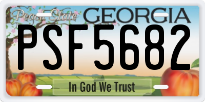 GA license plate PSF5682
