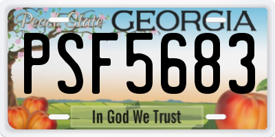 GA license plate PSF5683