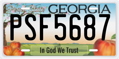 GA license plate PSF5687