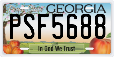 GA license plate PSF5688