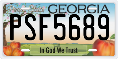 GA license plate PSF5689