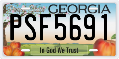 GA license plate PSF5691